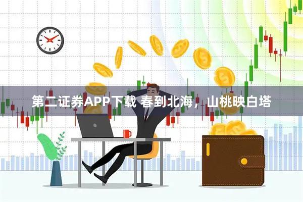 第二证券APP下载 春到北海，山桃映白塔