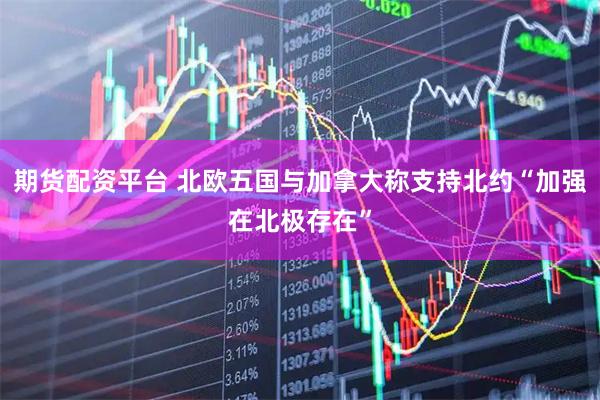 期货配资平台 北欧五国与加拿大称支持北约“加强在北极存在”