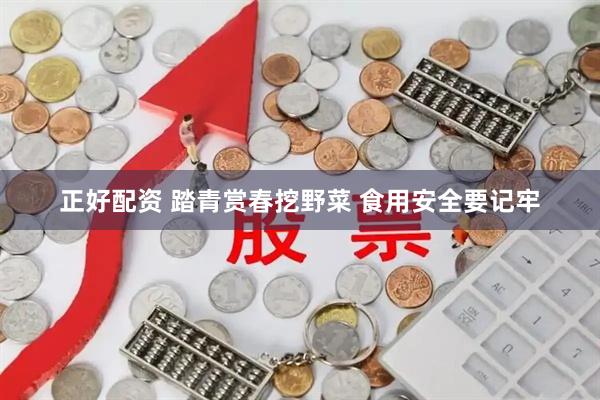 正好配资 踏青赏春挖野菜 食用安全要记牢