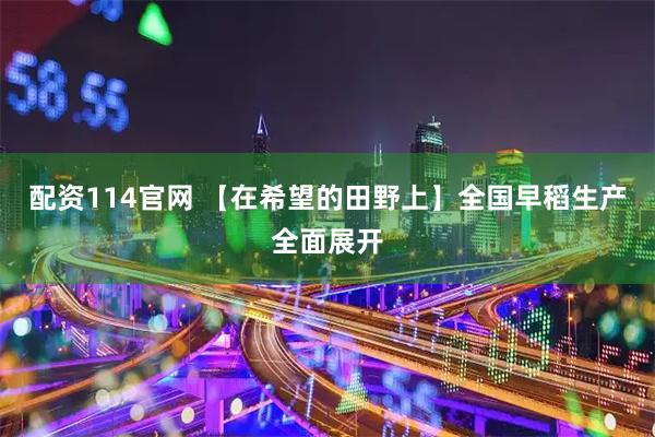 配资114官网 【在希望的田野上】全国早稻生产全面展开