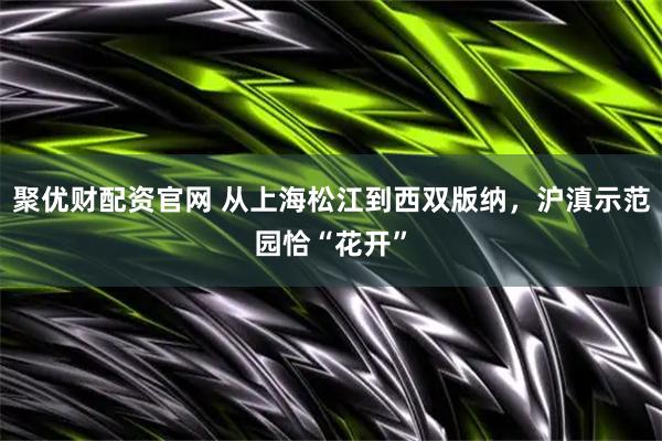 聚优财配资官网 从上海松江到西双版纳，沪滇示范园恰“花开”