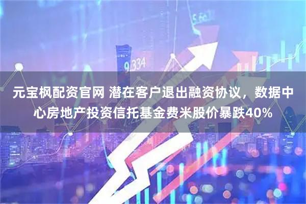 元宝枫配资官网 潜在客户退出融资协议，数据中心房地产投资信托基金费米股价暴跌40%