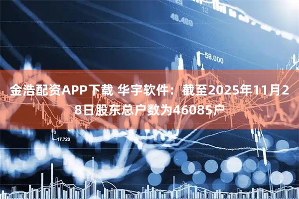 金浩配资APP下载 华宇软件：截至2025年11月28日股东总户数为46085户